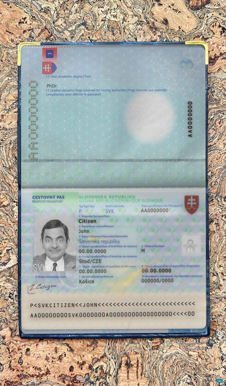 Download Slovakia pass photo look Photoshop template